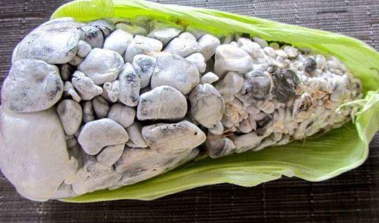 黑粉菌的营养价值