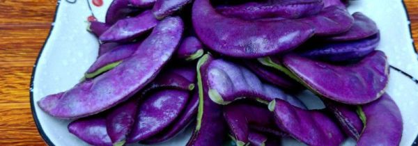 梅豆怎么储存到冬天可以吃