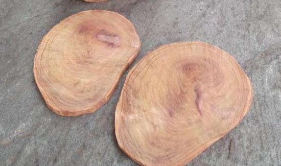 樟木的功效与作用及禁忌