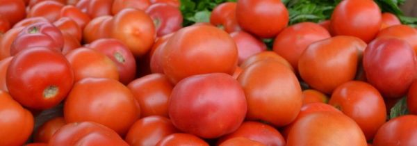 番茄保存要密封吗