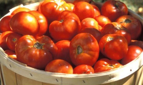番茄保存要密封吗