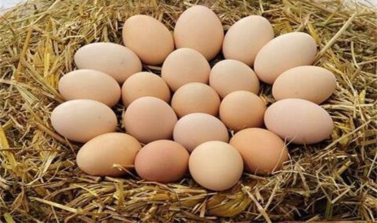 鲫鱼可以和鸡蛋一起吃吗