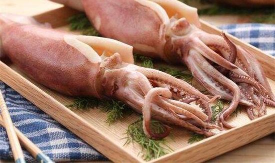 鱿鱼熟了为什么是透明