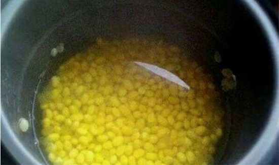 黄豆水浇花稀释多少倍