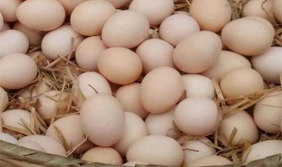 龙虾和鸡蛋能一起吃吗