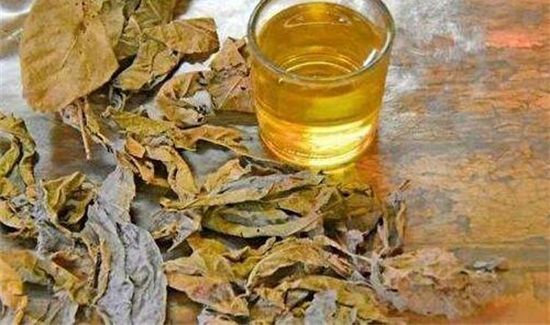 鹧鸪茶对肾有副作用吗