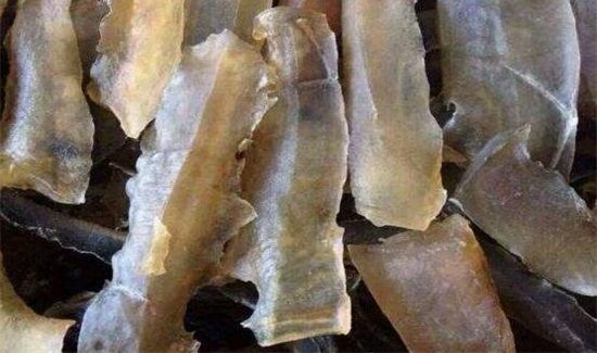 龟甲胶和龟板胶的区别