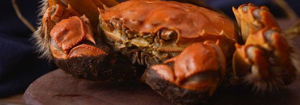 猪肝和螃蟹能不能一起吃