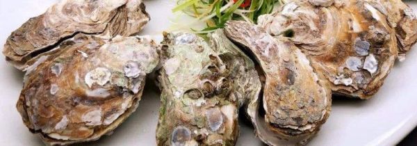 生蚝死了会自动开口吗