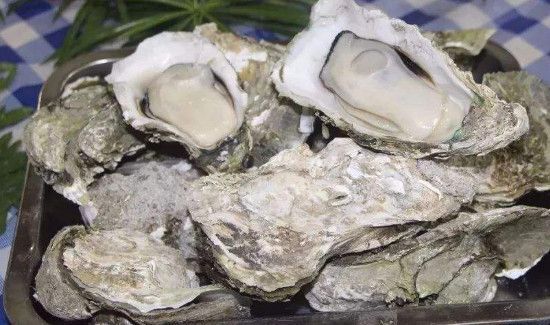 生蚝死了会自动开口吗