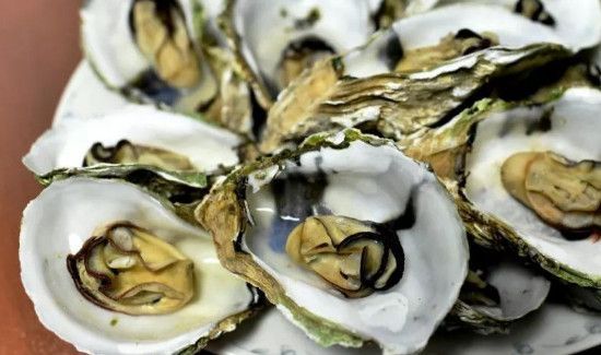 生蚝可以蒸着吃吗