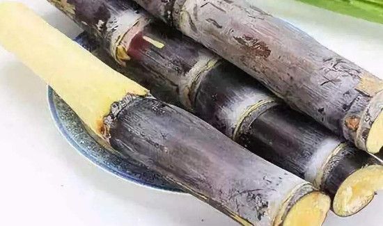 甘蔗去火吗