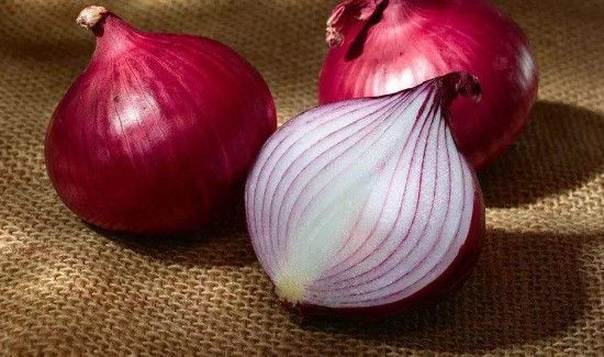 番茄洋葱可以一起吃吗