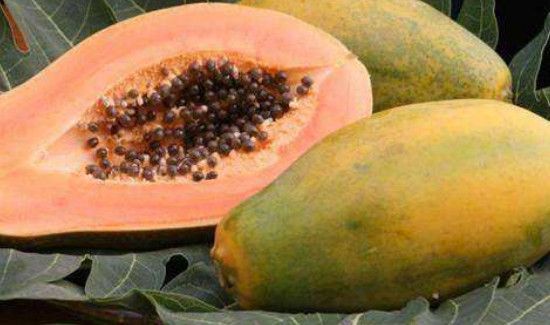番木瓜能吃吗