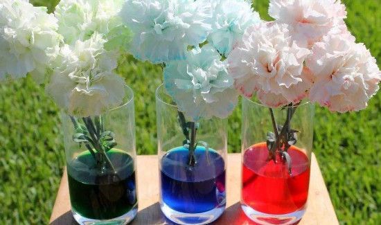 泡腾片过期生活小妙用