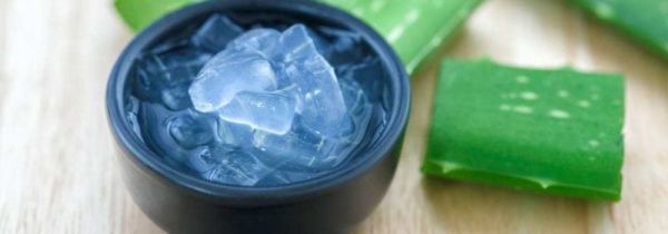 芦荟鲜叶可以直接用吗