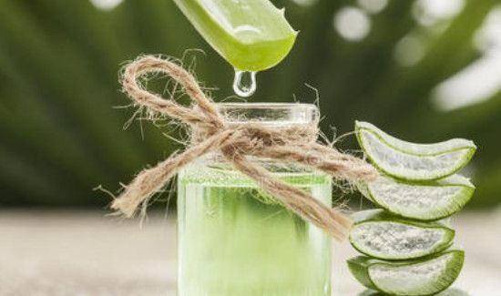 芦荟鲜叶可以直接用吗