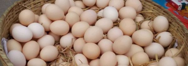 如何检验鸡蛋是否煮熟