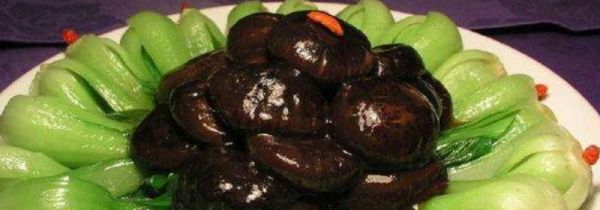 炒菜加热水还是冷水