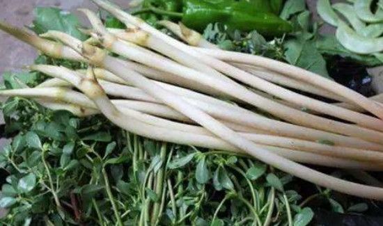 藕带时间长了变黑怎么办