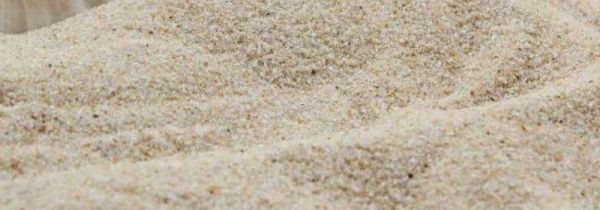 海峡沙和海沙的区别