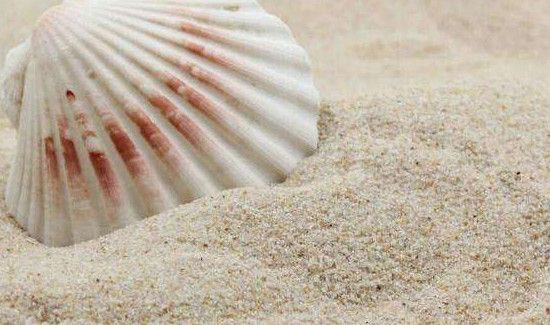 海峡沙和海沙的区别