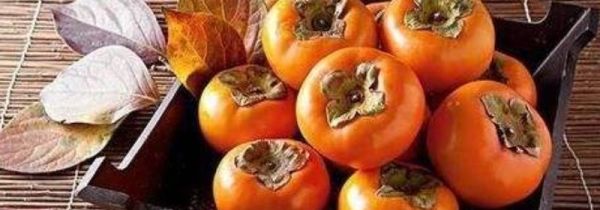 柿子和鸡肉能一起吃吗