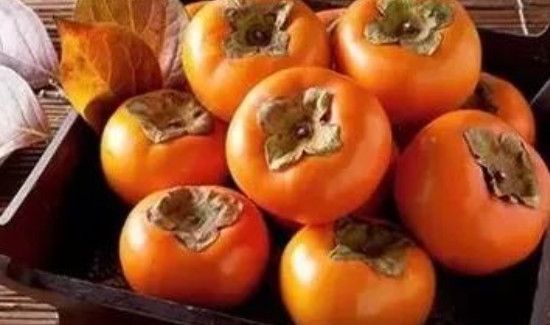 柿子和猪肉能一起吃吗