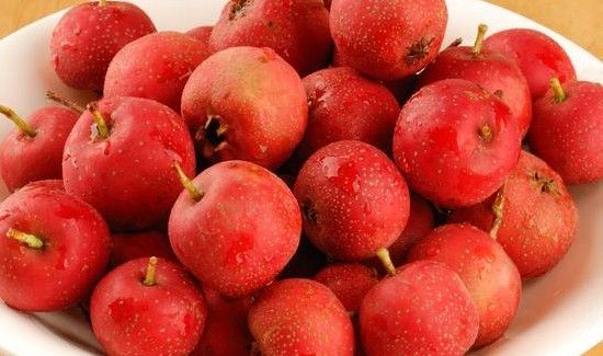 柿子和山楂能一起吃吗