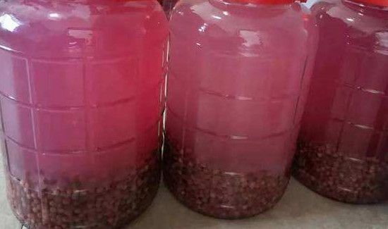 一斤干五味子泡几斤酒