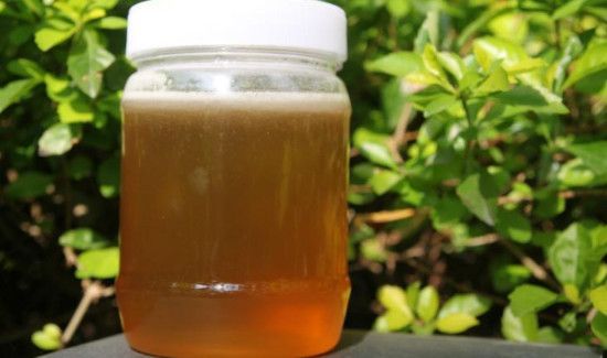 一斤半枫荷能泡多少酒