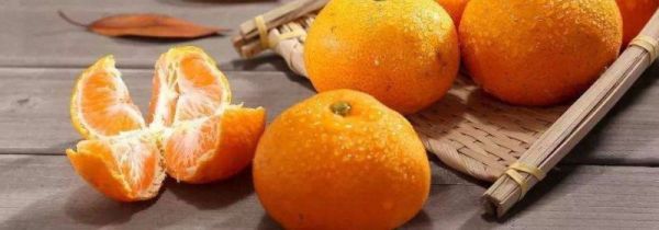 桔子哪些人不能吃