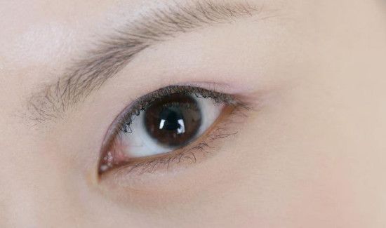 上直肌的作用是