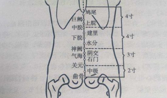 上腕的准确位置图作用