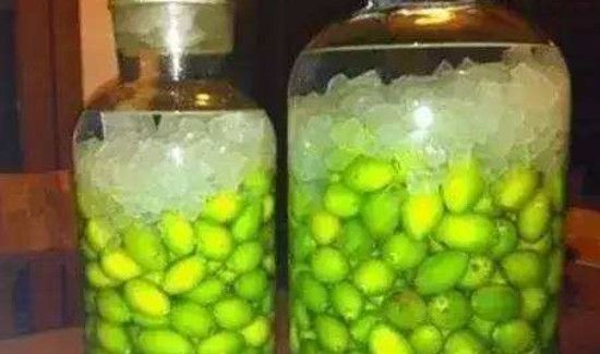 橄榄酒泡了一年有毒吗