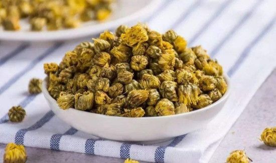 滁菊的功效与作用