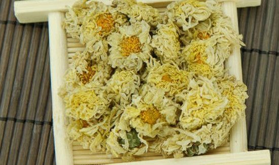 滁菊的功效与作用