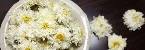 滁菊的功效与作用