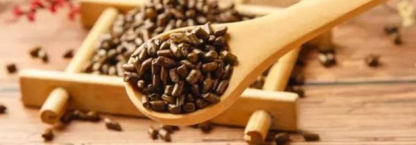 炒决明子和决明子的区别