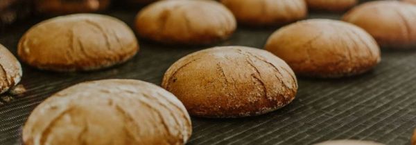 烤箱能烤生包子吗