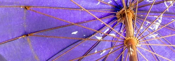 雨伞生锈怎么加润滑油