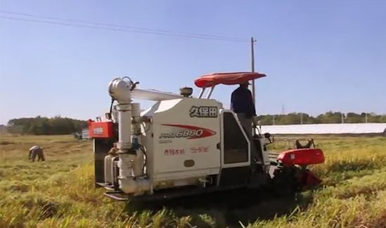 农事活动有哪些