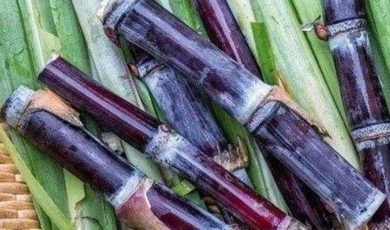 甘蔗心是红的能吃吗