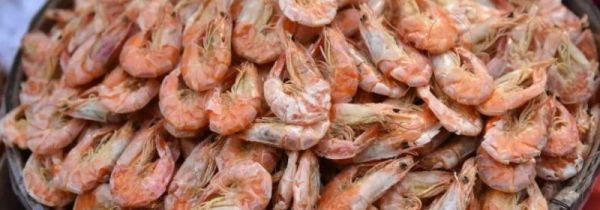 生晒和熟晒虾干的区别