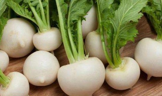 甜疙瘩的营养价值