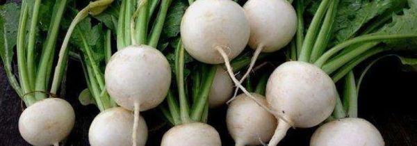 甜疙瘩的营养价值