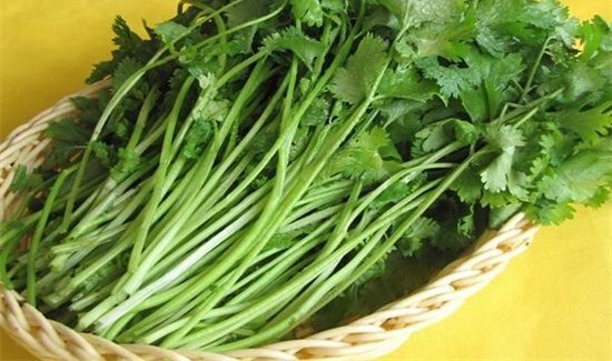 蔬菜如何保鲜一周以上