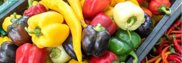 蔬菜冰冻能保存多久