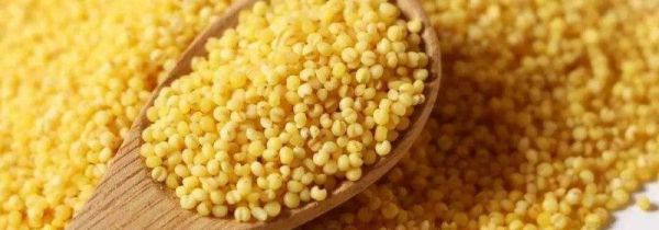 吃小米是除湿还是助湿