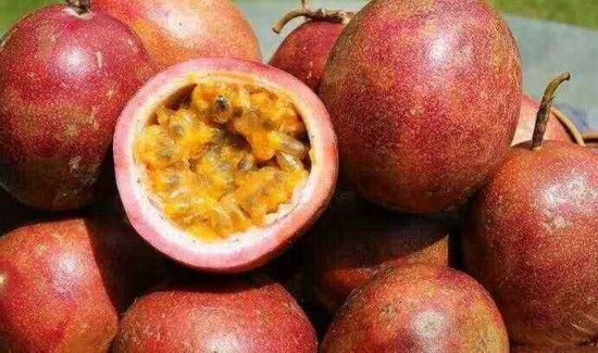 百香果直接吃可以吗